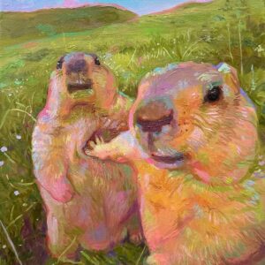 Marmotte illustration